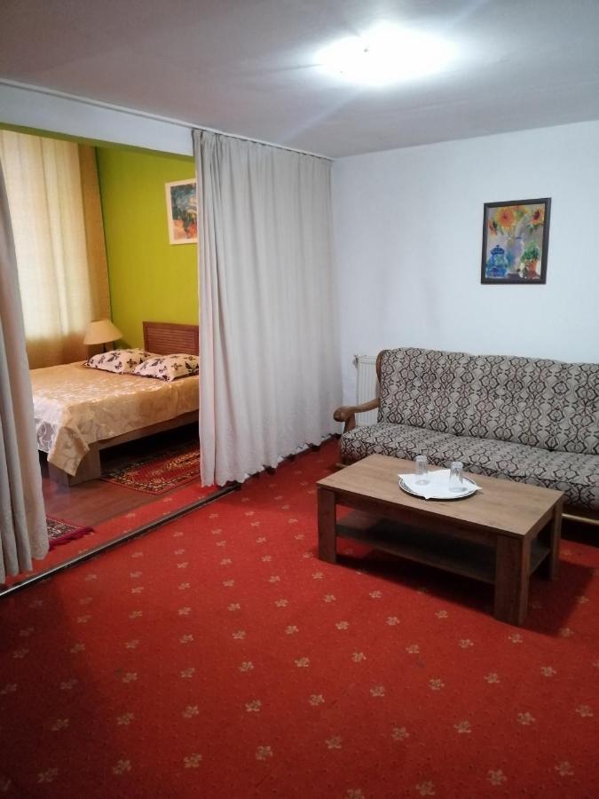 Hotel Rares Botoşani Екстериор снимка